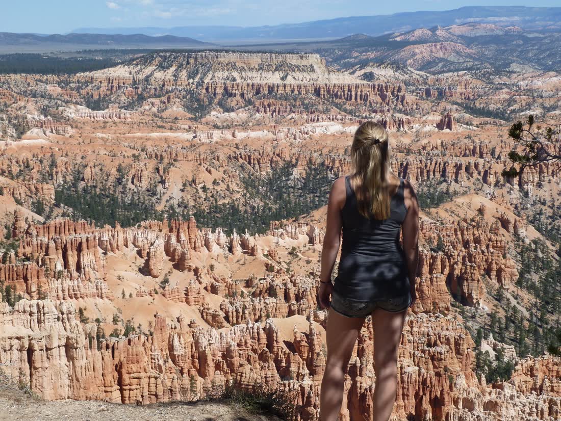 De rotspilaren van Bryce Canyon in de ochtendzon, Utah, Amerika