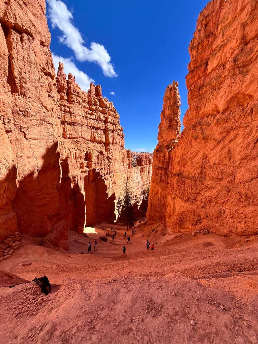 Tussen de rode rotswanden van de Navajo Loop in Bryce Canyon, Utah, Amerika