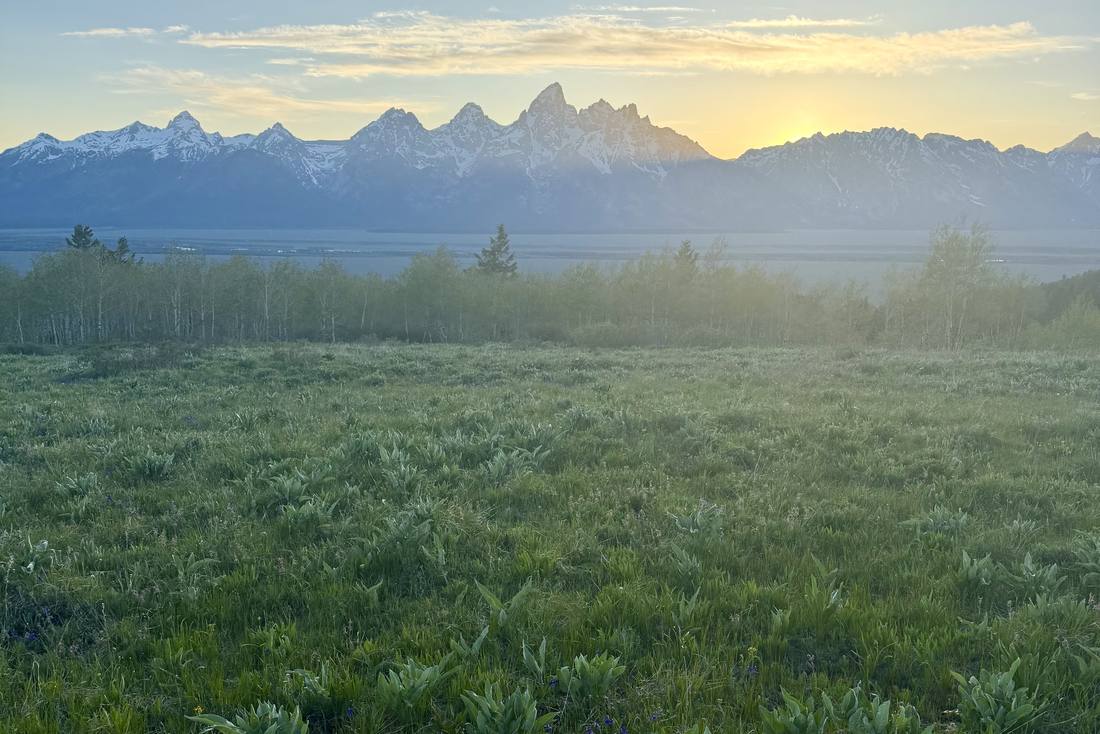 De Tetons in het ochtendlicht boven het dal, Wyoming, Amerika