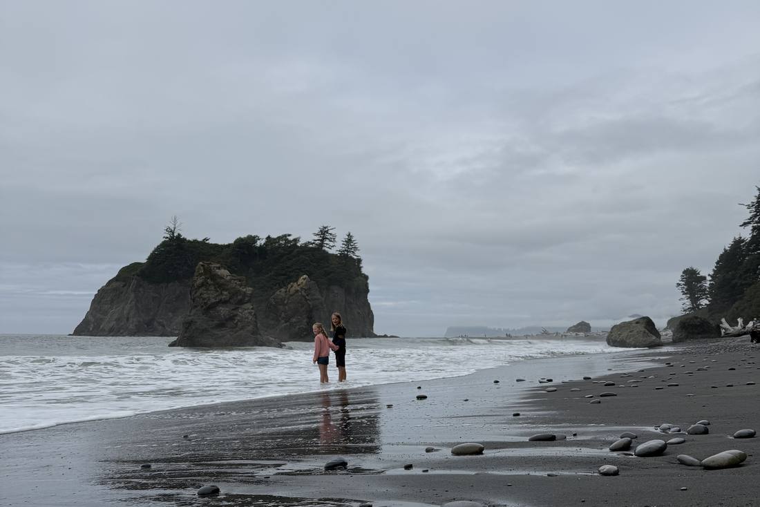 Ruby Beach aan de kust van Olympic National Park, Washington, het noordwesten van Amerika