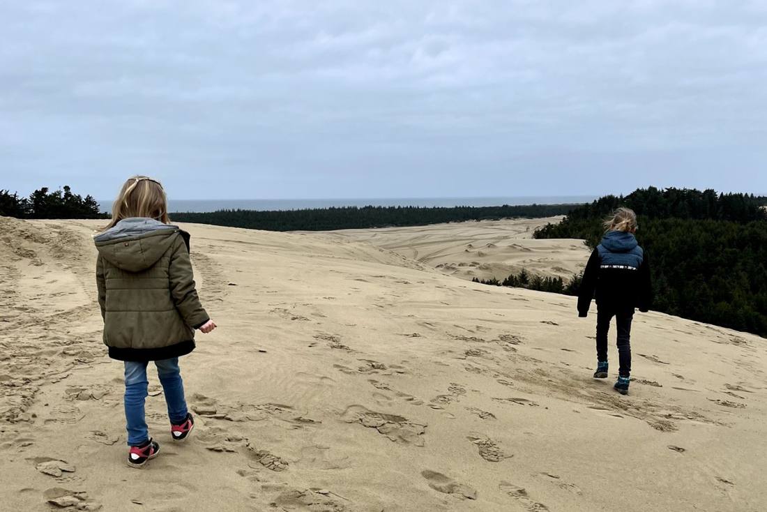 De zandduinen aan de kust van Oregon, het noordwesten van Amerika
