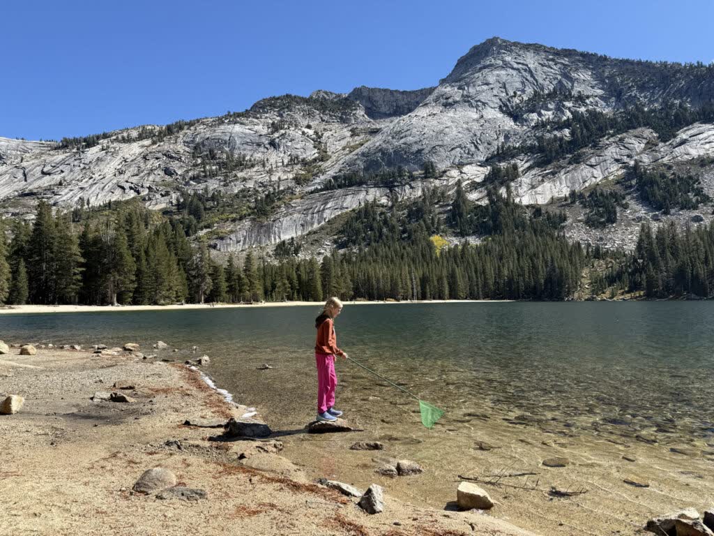 Yosemite National Park, Californië, Amerika