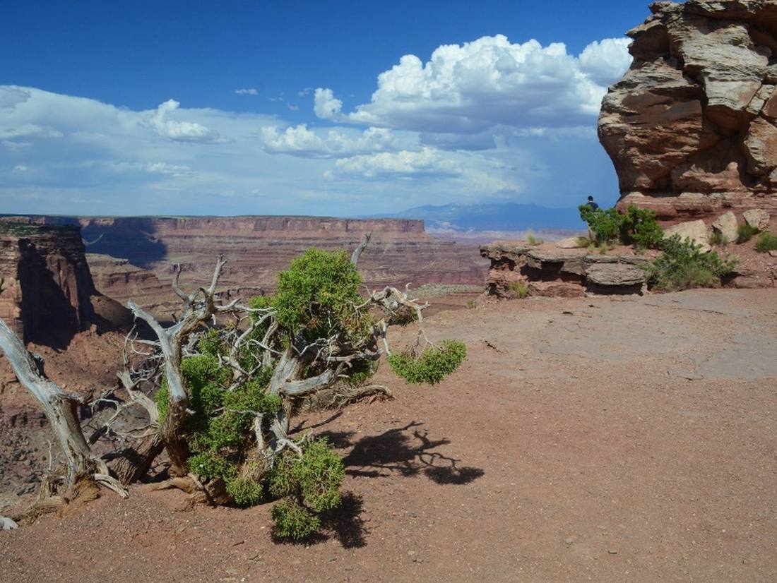 Canyon lands uitzicht