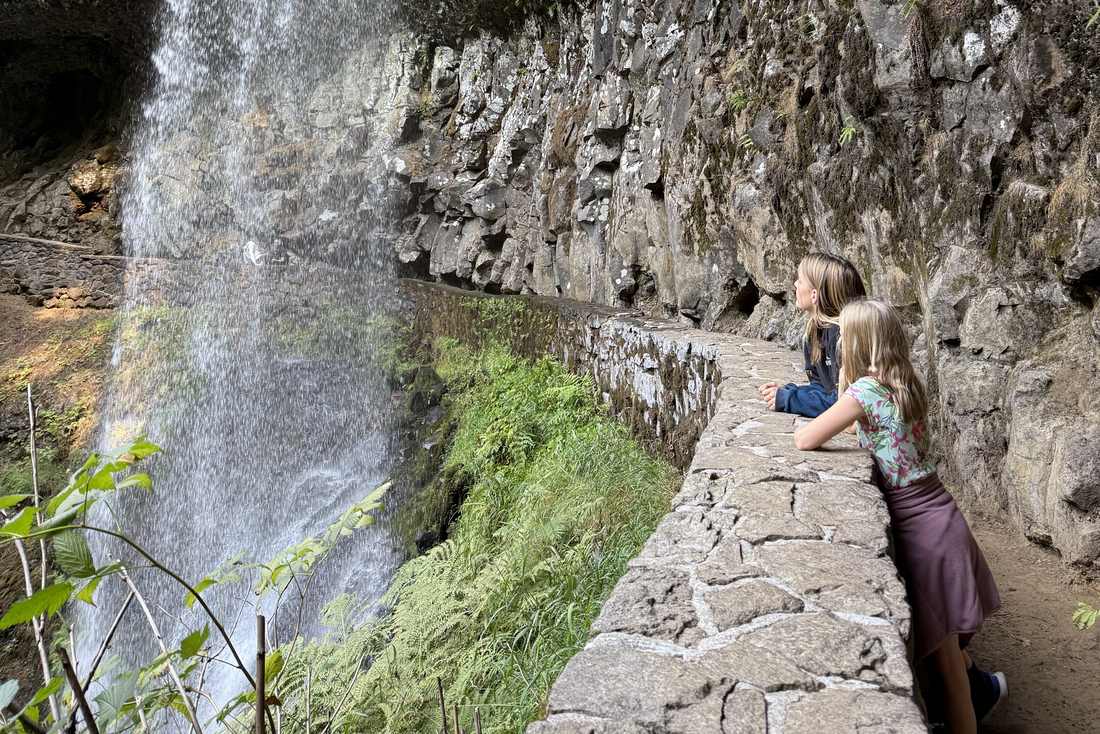 Het pad achter de waterval door bij Silver Falls in Oregon, het noordwesten van Amerika