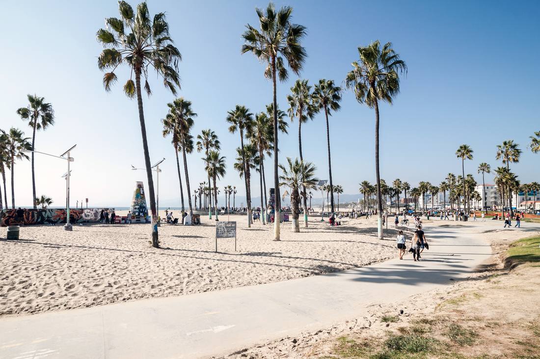 Palmen langs de boulevard van Venice Beach in Los Angeles, Californië, Amerika