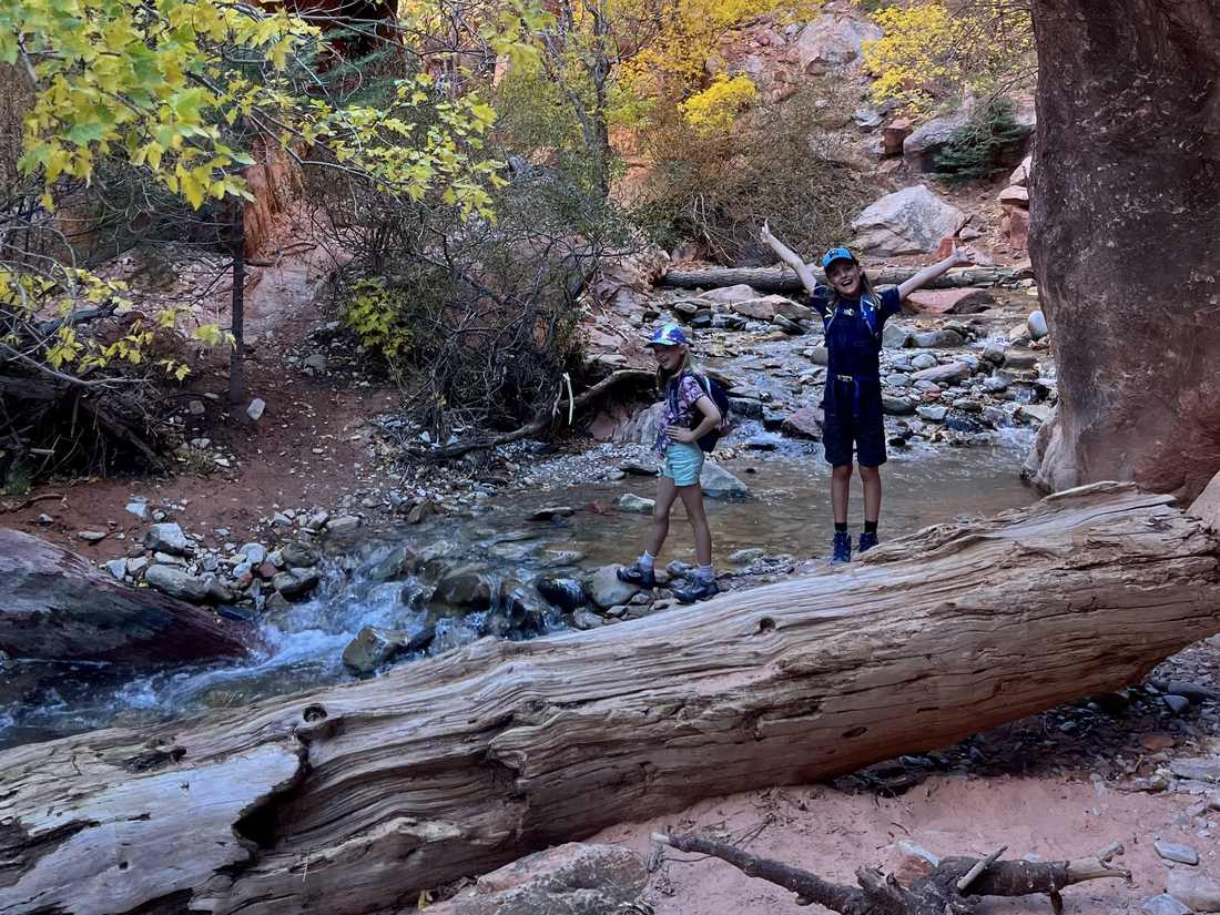 Kinderen op een boomstam in een kloof met een beekje in Zion, Utah, Amerika