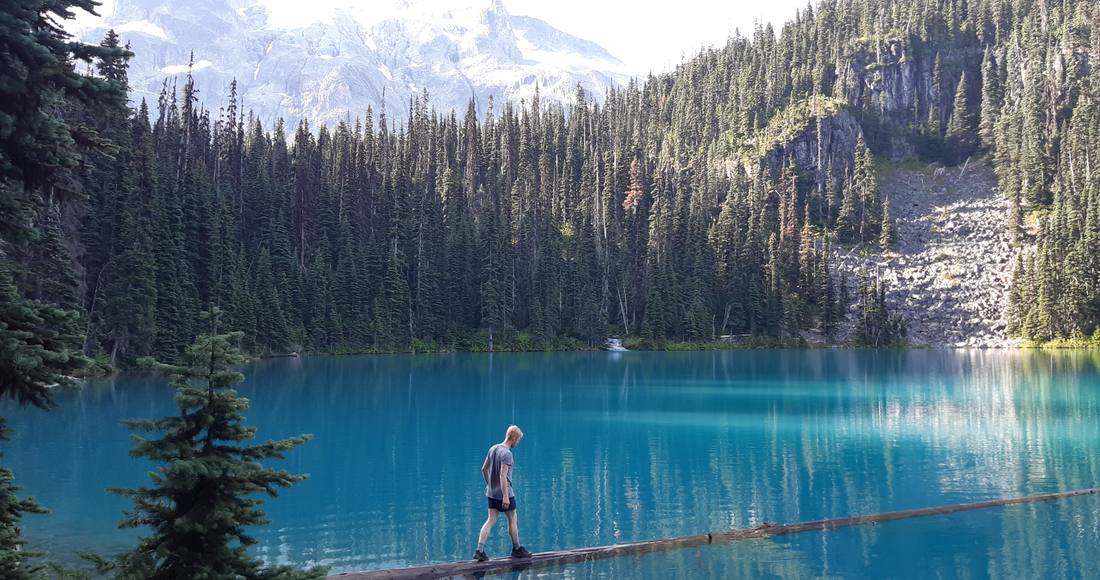 Over een boomstam een turquoise bergmeer in, British Columbia, West-Canada