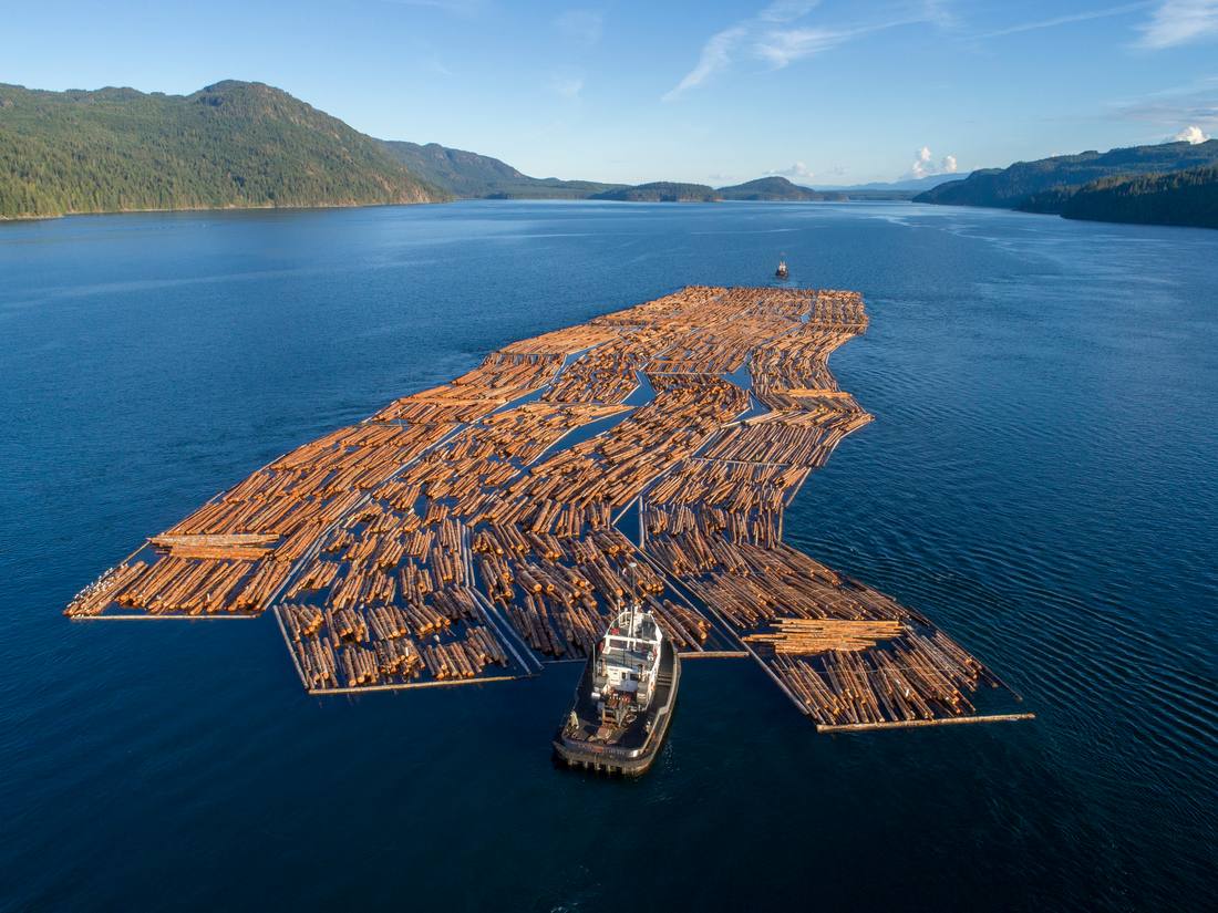 Een sleepboot met een vlot boomstammen op het water bij Campbell River, Vancouver Island, West-Canada