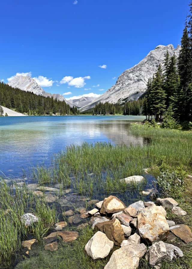 Elbow Lake bij Peter Lougheed, Alberta, West-Canada