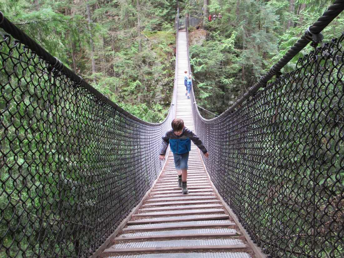 Een kind loopt over een hangbrug in het regenwoud, British Columbia, West-Canada
