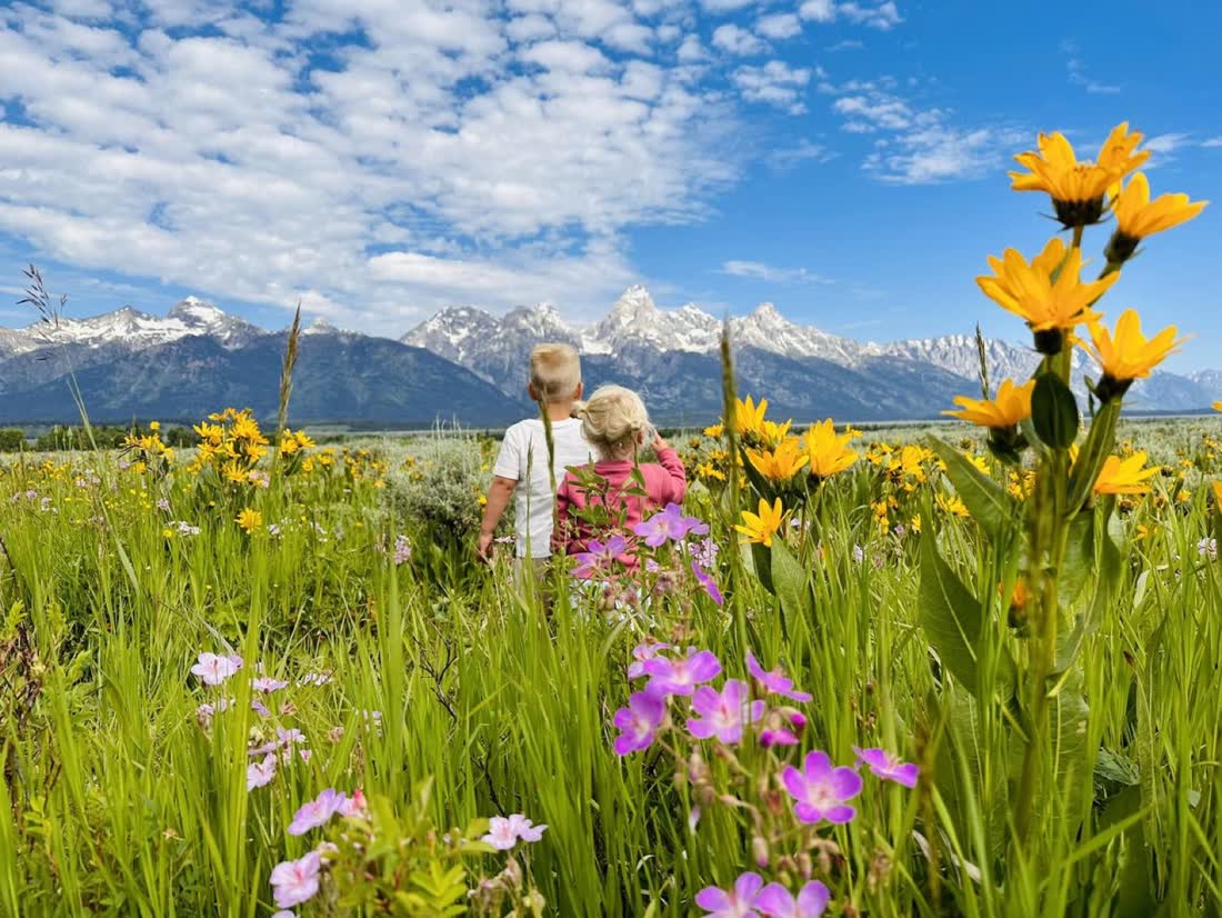 Kinderen tussen de wilde bloemen met de bergen op de achtergrond, West-Canada