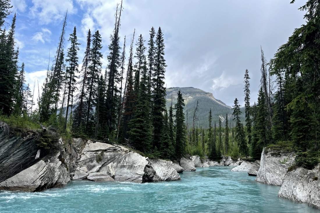 De turquoise rivier door Kootenay National Park bij Radium Hot Springs, British Columbia, West-Canada