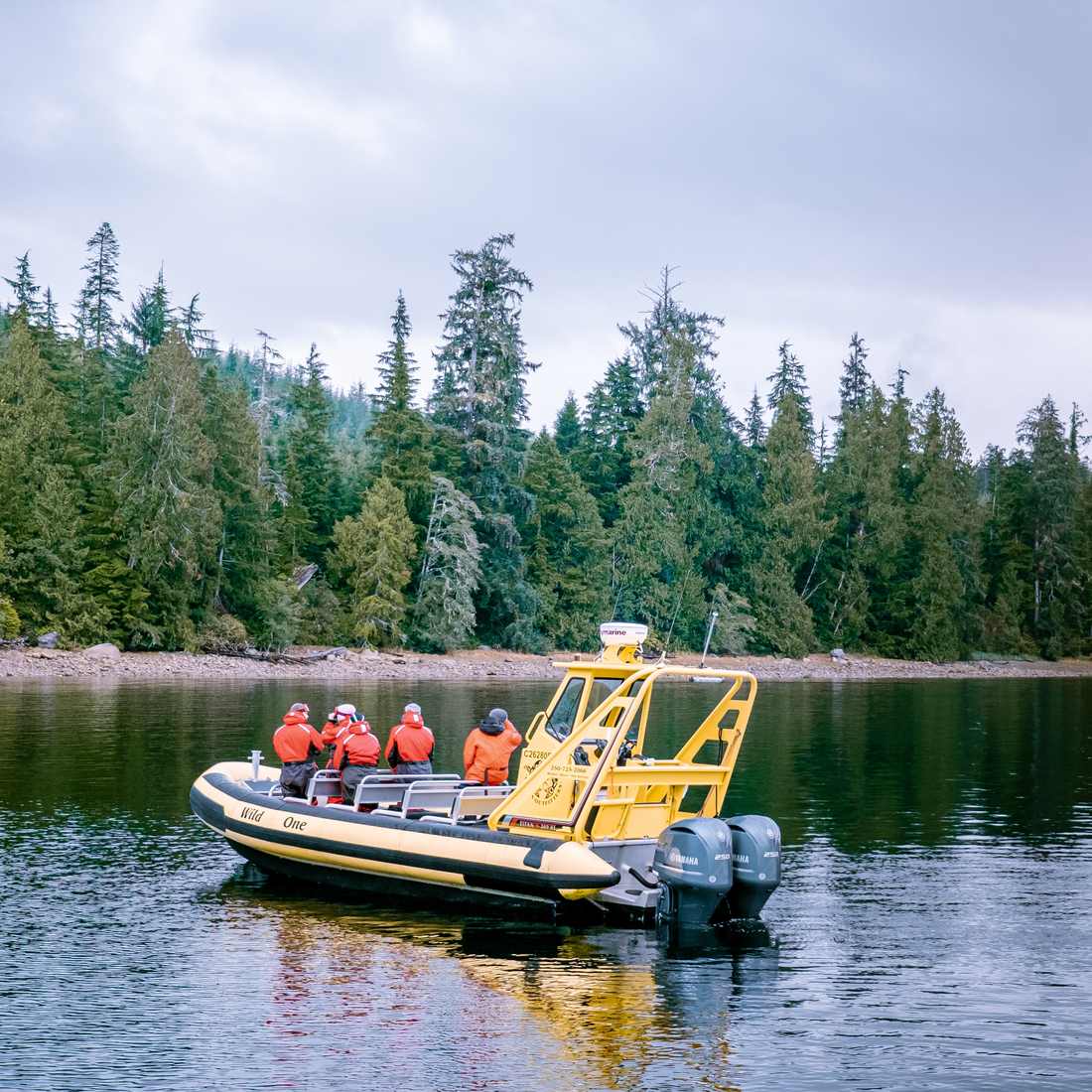 Een boot met passagiers in reddingsvesten op berentocht in de baai bij Tofino, Vancouver Island, West-Canada