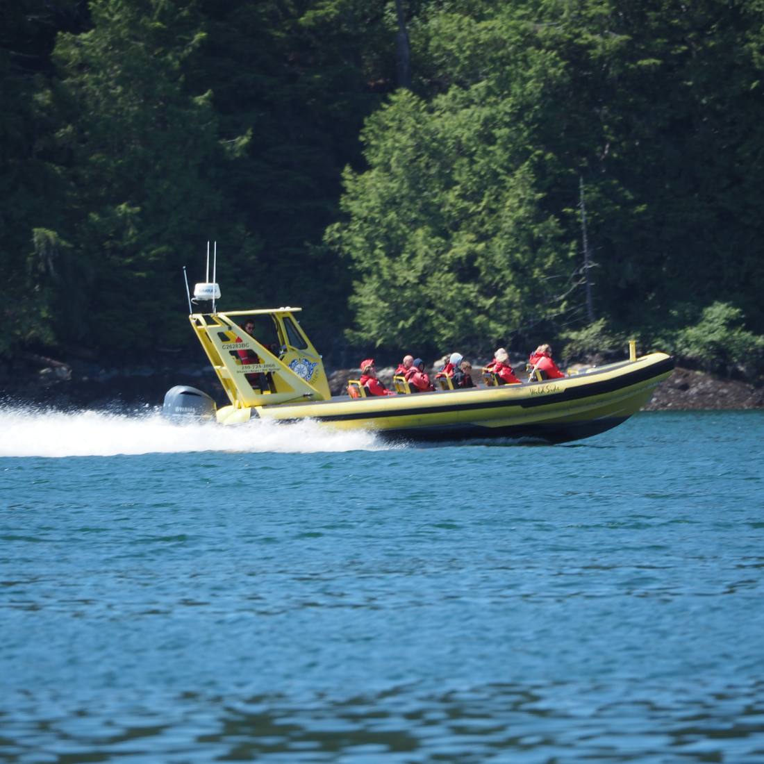 Een zodiac met passagiers in reddingspakken op weg naar orka's en beren, Vancouver Island, British Columbia, West-Canada