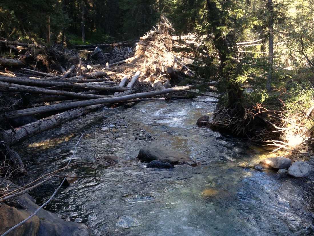 We wandelen hier bij Kananaskis, beerspray moet altijd mee!
