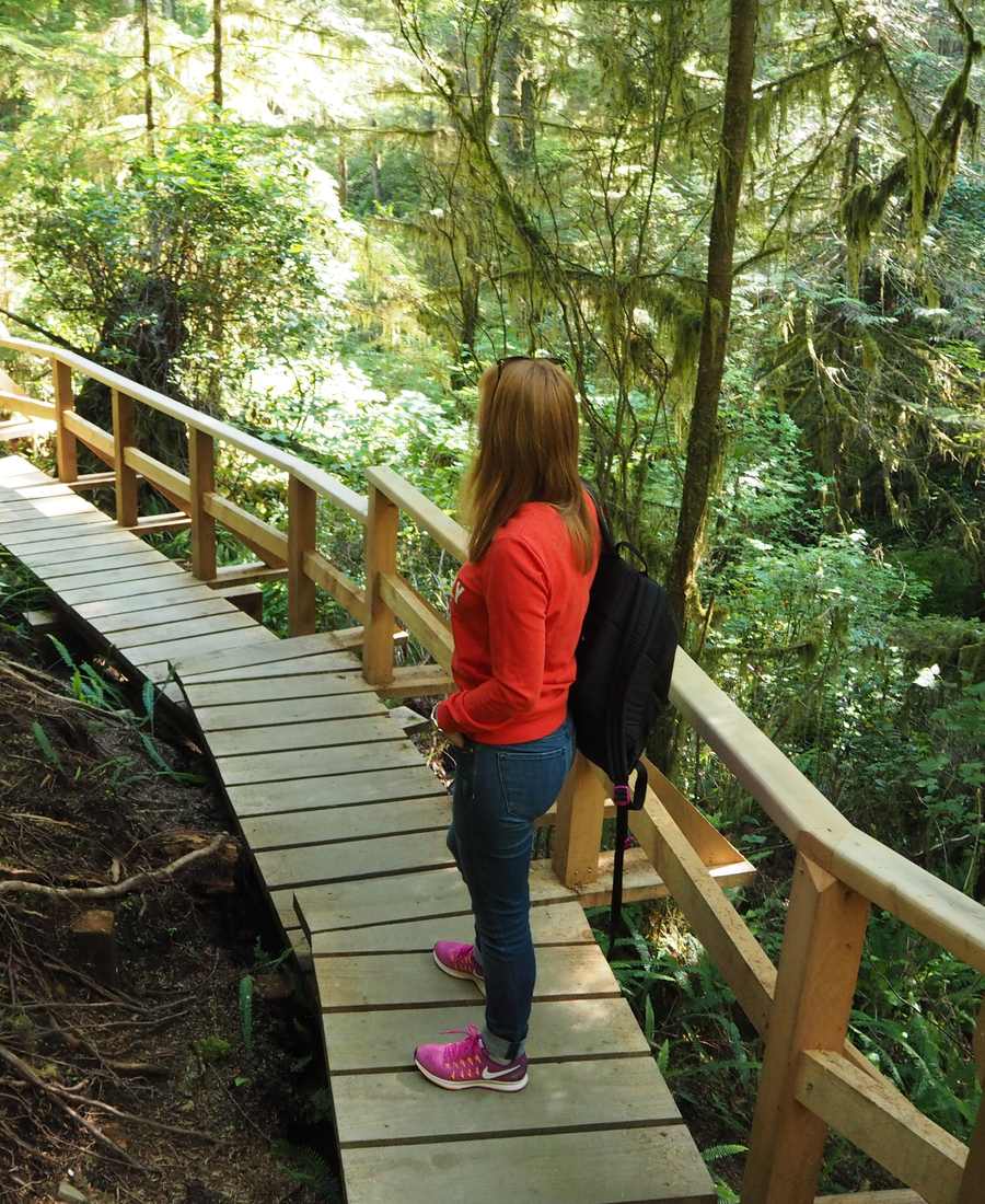 Een wandelaar op het vlonderpad van de Rainforest Trail in Pacific Rim, Vancouver Island, West-Canada