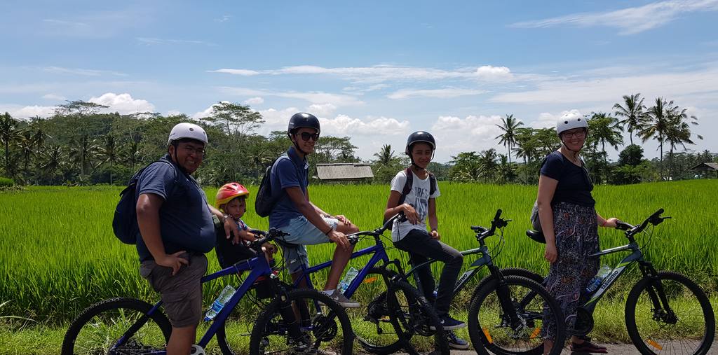 Gezin fietst met een gids langs de rijstvelden op Bali, Indonesië