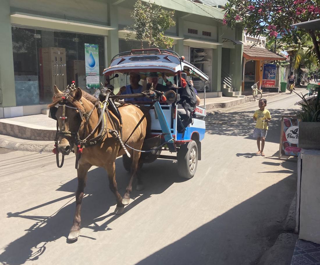 Een paard en wagen rijdt over de dorpsstraat van Gili Air, Indonesië