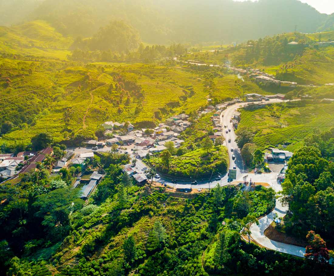 De kronkelweg van de Puncak Pass loopt door groene valleien vol theeplantages op Java, Indonesië