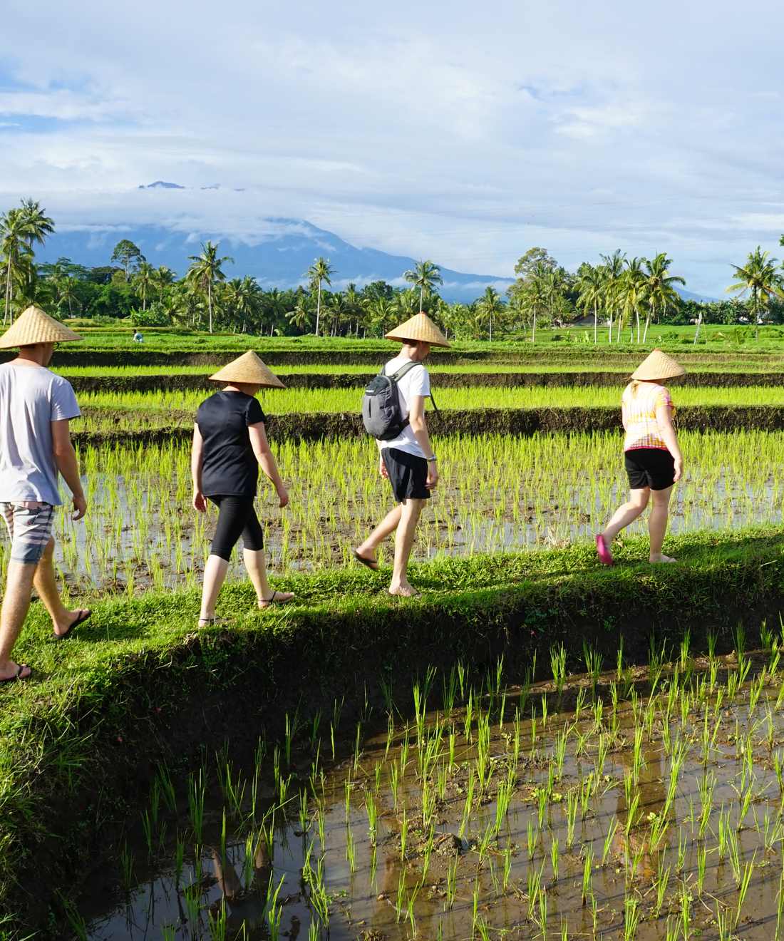 Vier reizigers lopen over het dijkje door de rijstvelden van Java, Indonesië