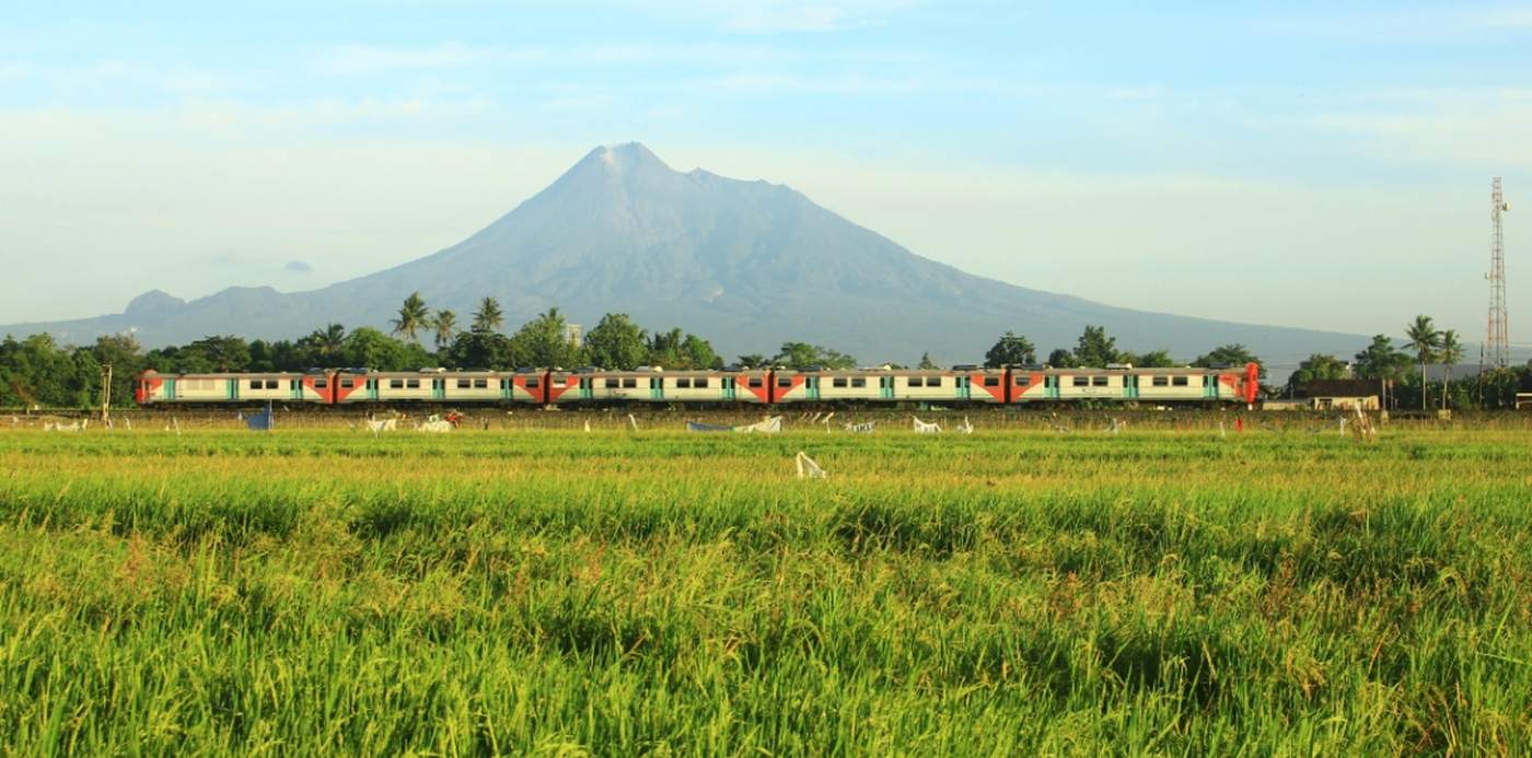 De trein rijdt door de groene rijstvelden van Java met een vulkaan erachter, Indonesië