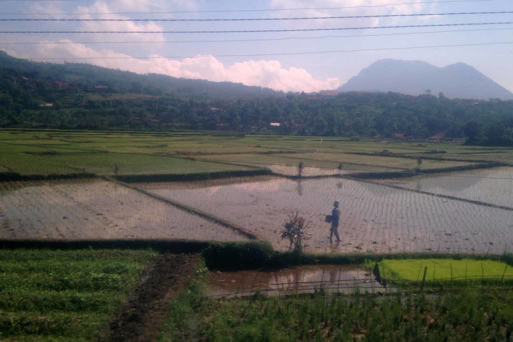 uitzicht vanuit de trein, Indonesië