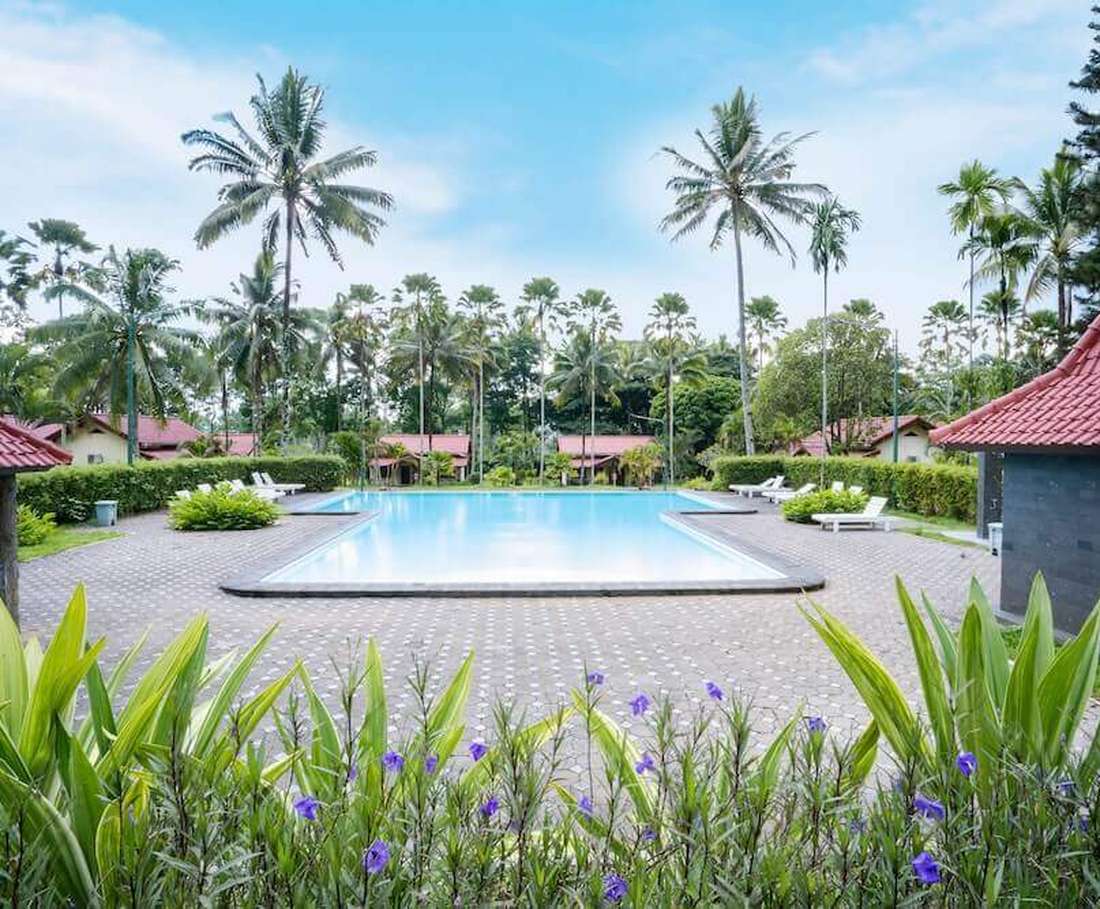 Het zwembad ligt tussen de palmen in de tropische tuin bij Kalibaru, Java, Indonesië