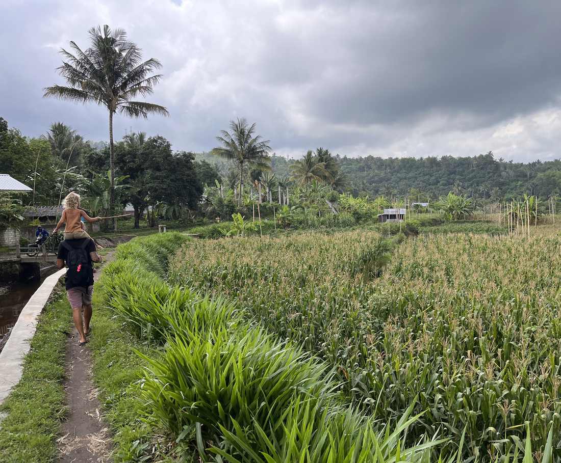 Over een boerenpad door de rijstvelden bij Senaru op Lombok, Indonesië