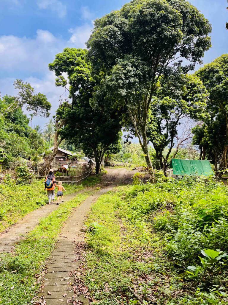 wandeling door de jungle met de lokale gidsen, Indonesië