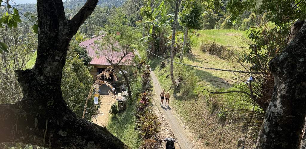 Pad door de rijstvelden net buiten het dorp op Bali, Indonesië