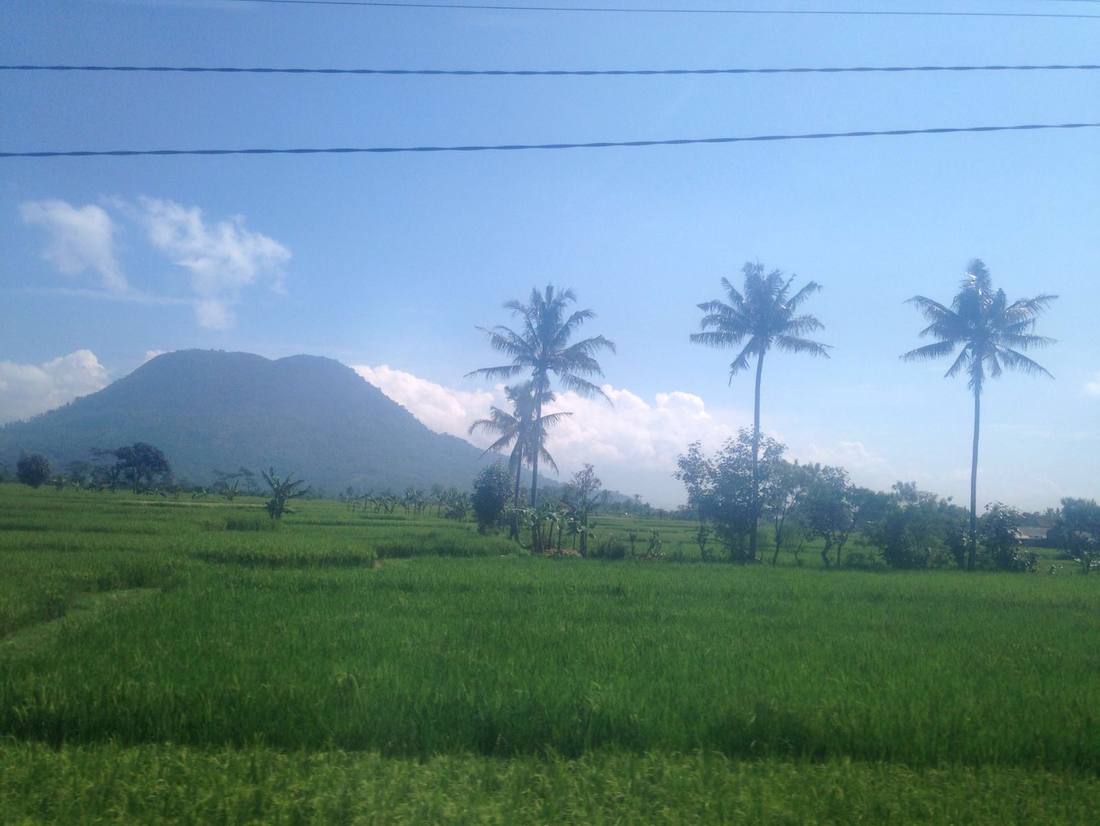 fantastische uitzichten vanuit de trein