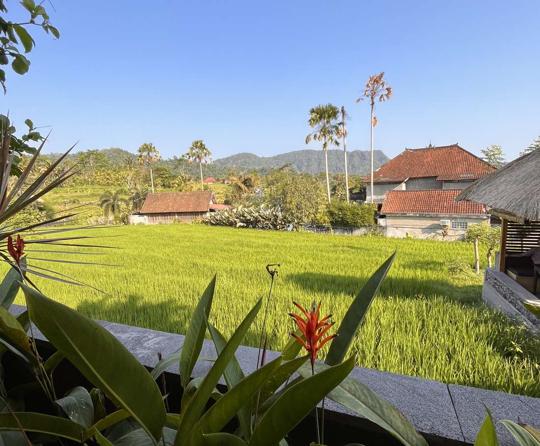 De vallei bij Sidemen, Bali, Indonesië