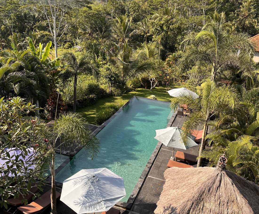 Het zwembad met parasols kijkt uit over de groene vallei van Sidemen, Bali