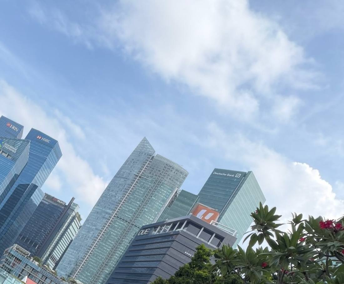 De wolkenkrabbers van de Marina Bay in Singapore, met een bloeiende frangipani ervoor