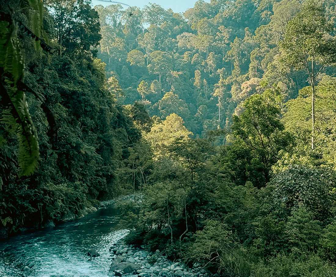 De rivier door de jungle bij Bukit Lawang op Sumatra, Indonesië