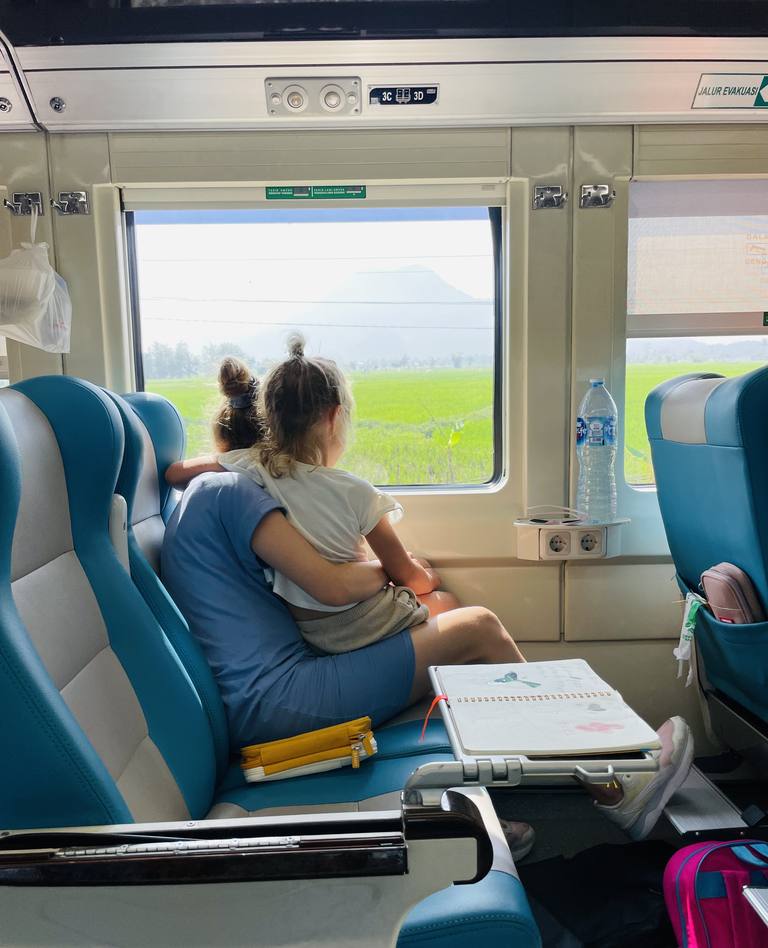 Kind kijkt vanuit de trein over de rijstvelden van Java, Indonesië