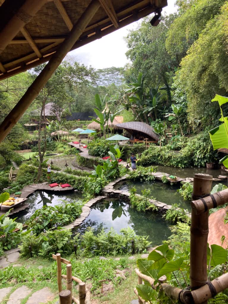 De rijstvelden bij Ubud, Bali, Indonesië