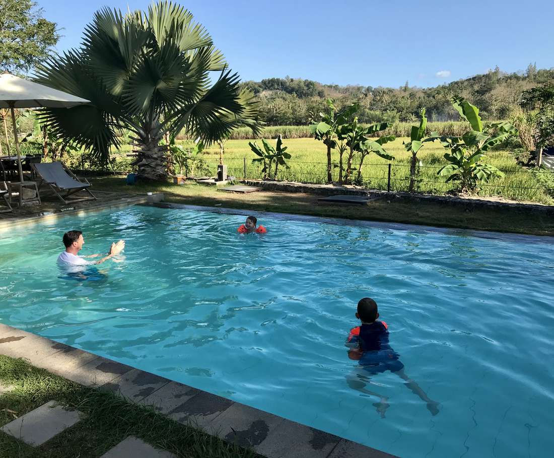 Het zwembad met uitzicht over de rijstvelden bij Ubud, Bali, Indonesië