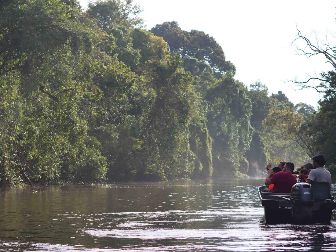 Borneo met kinderen - jungle vanuit de boot