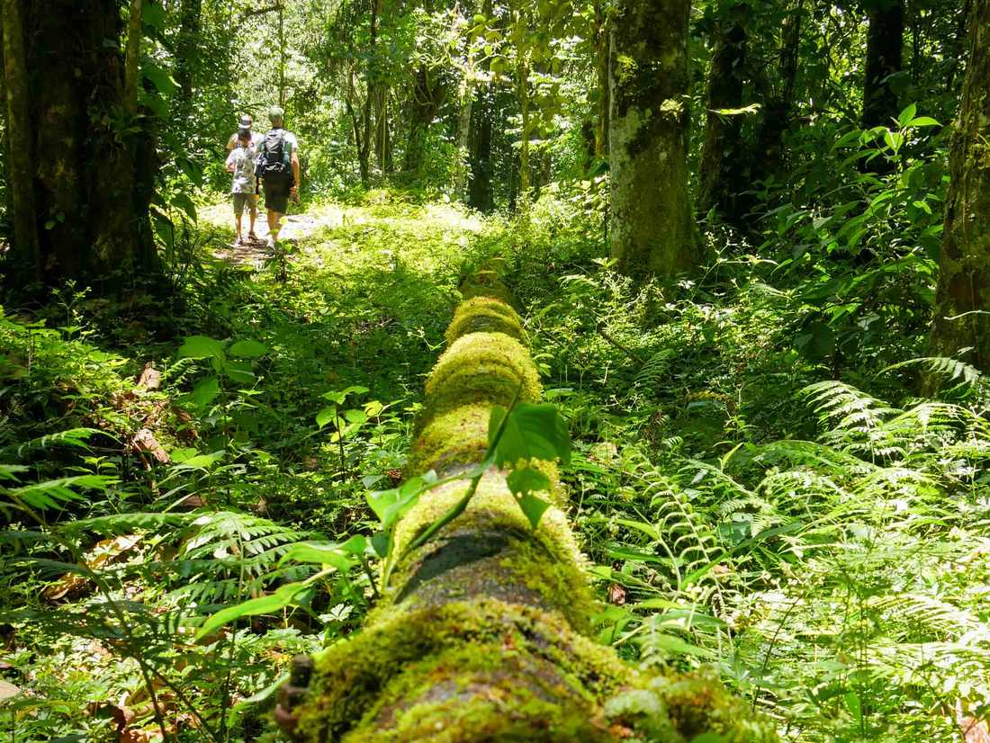 El Valle de Anton of Boquete; welke ga je kiezen?