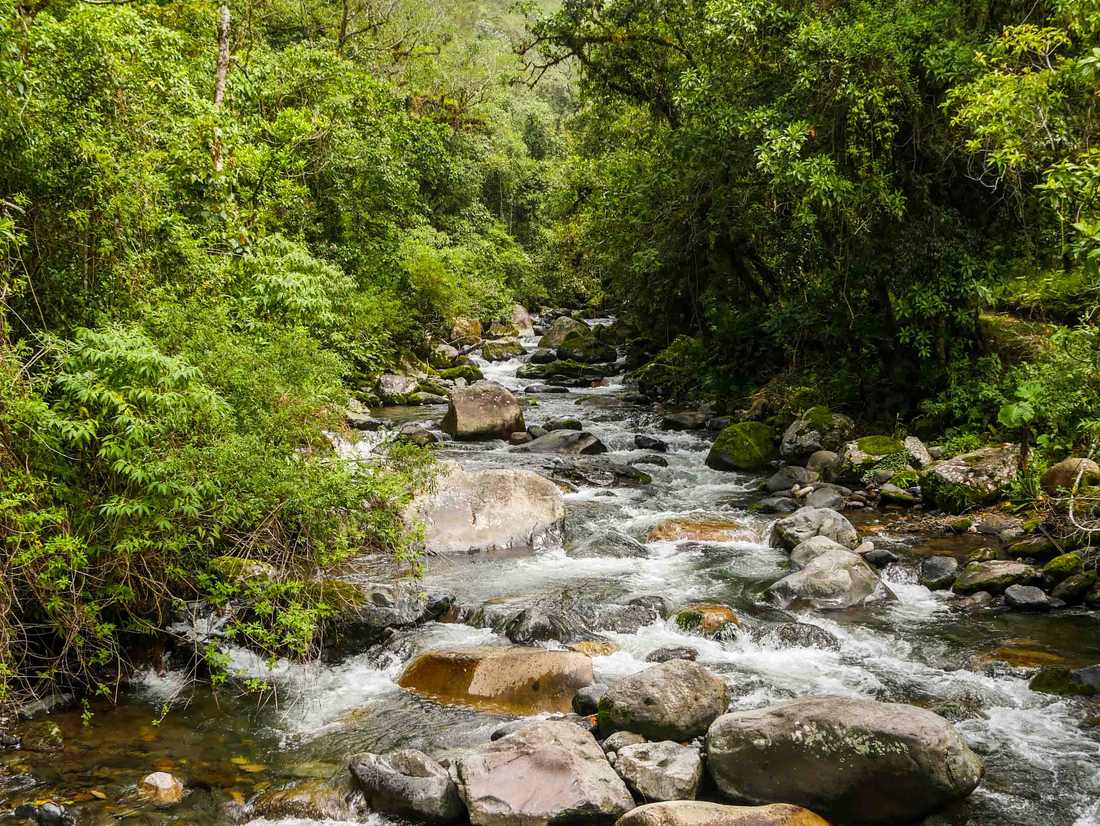 El Valle de Anton of zoals hier Boquete?