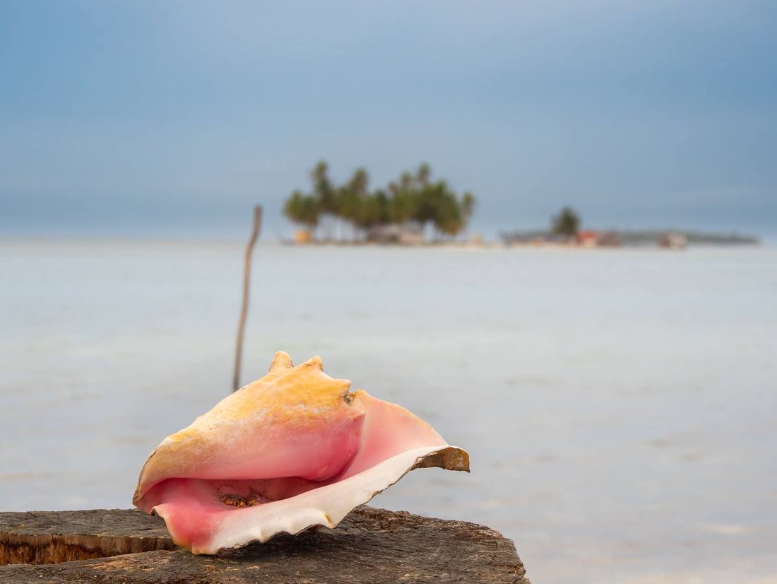 Mooiste stranden Panama: verschil tussen de Caribisch en Pacific kust