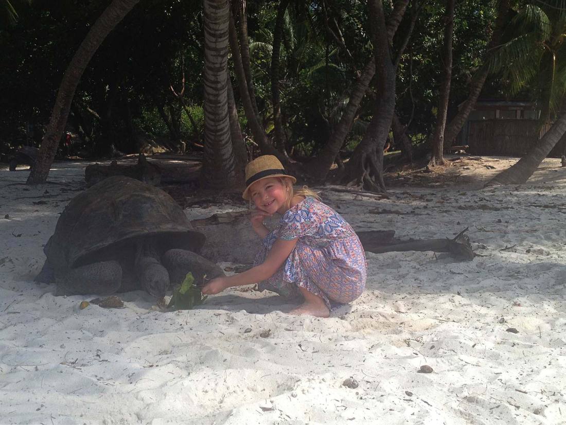 Schildpadden voeren op de Seychellen met kinderen