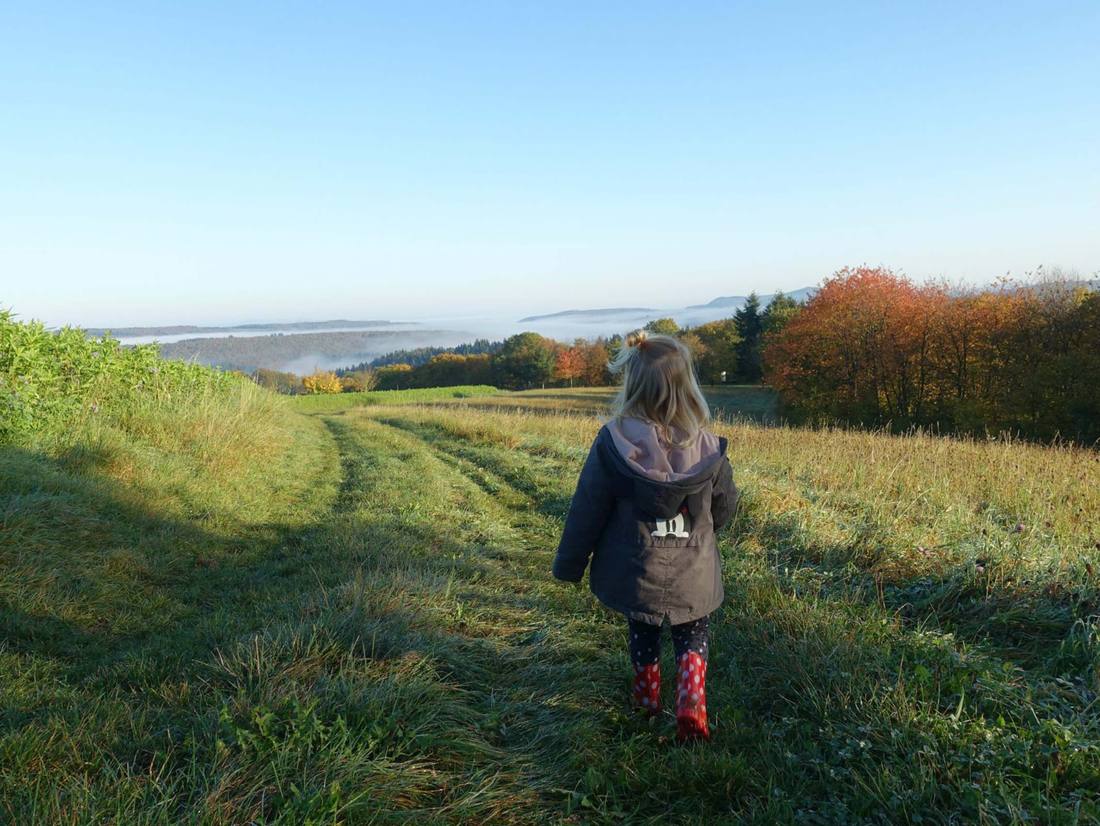 Heerlijk in de herfst: de Moezel