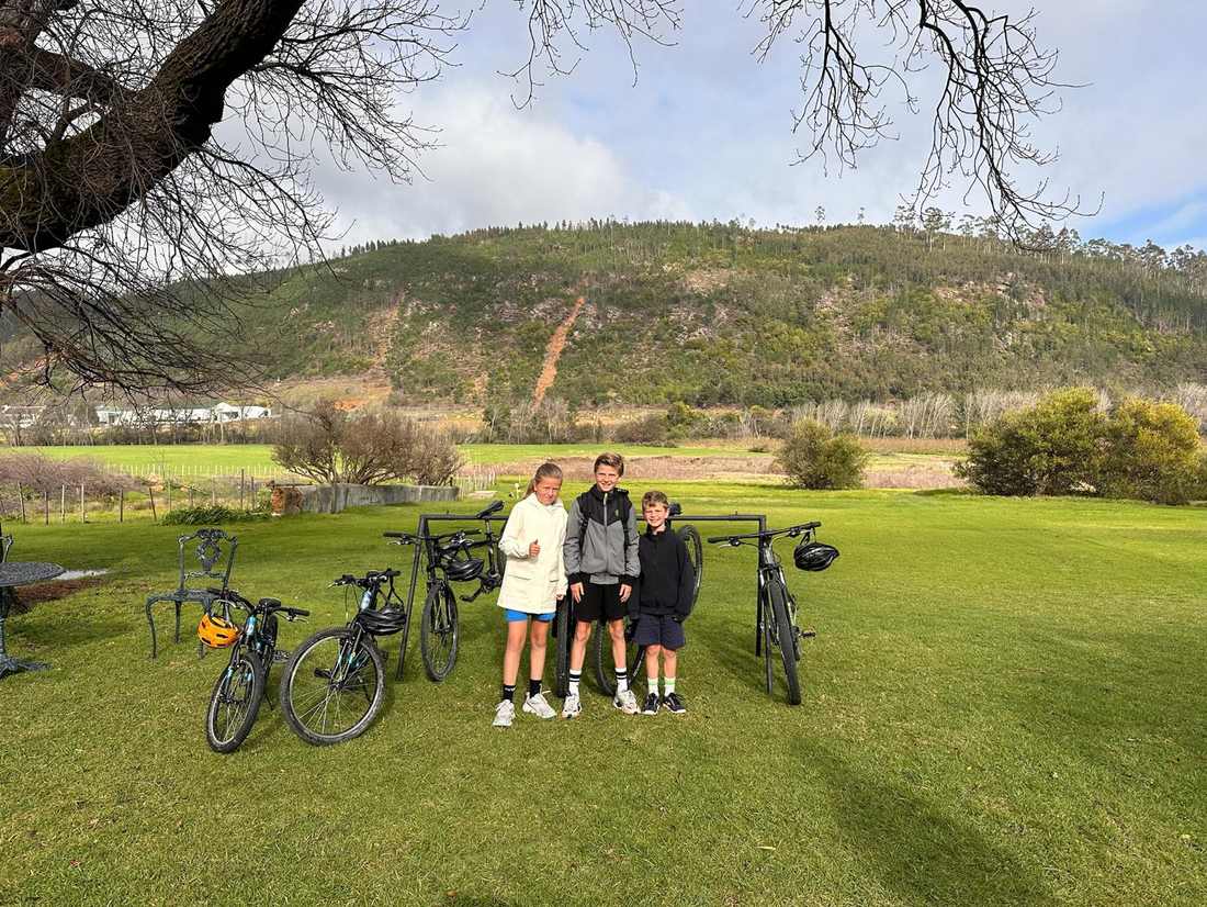 De fietsen klaar op het gras bij een wijnhuis, Zuid-Afrika