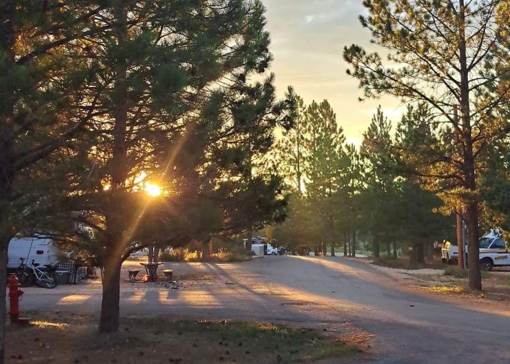 Avondlicht op de weg langs de camping, Amerika