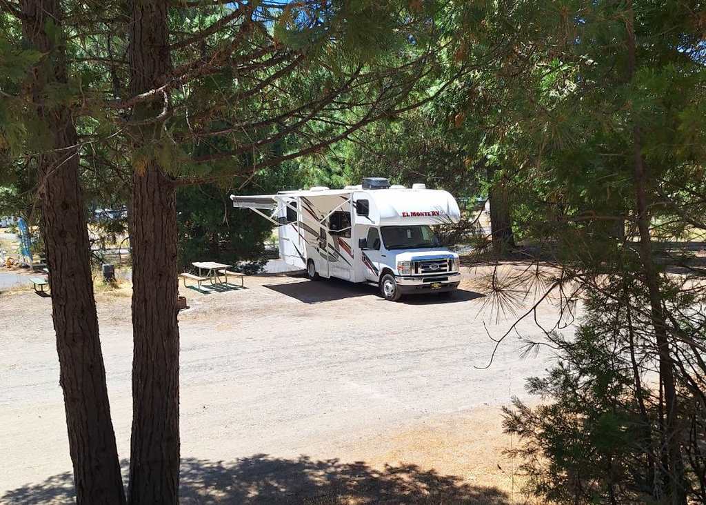 De camper op een camping tussen de dennen bij Groveland, Californië, Amerika