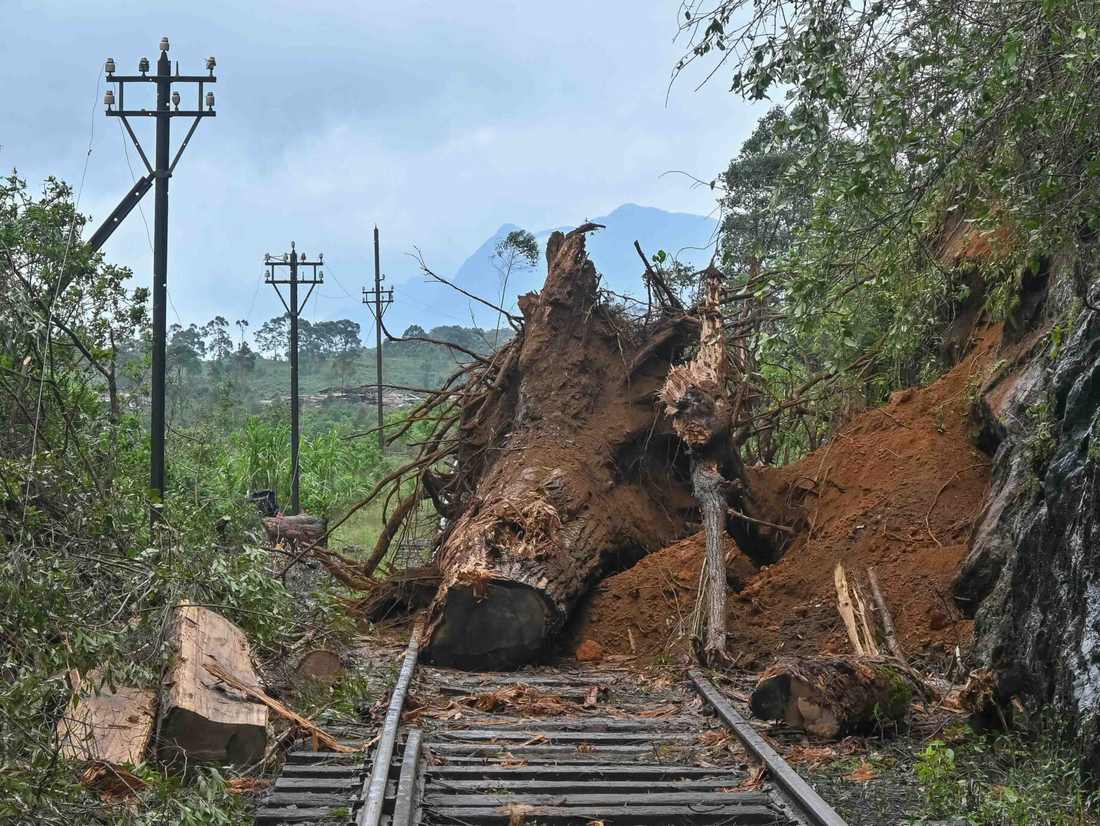 Een omgevallen boom over de rails, Sri Lanka