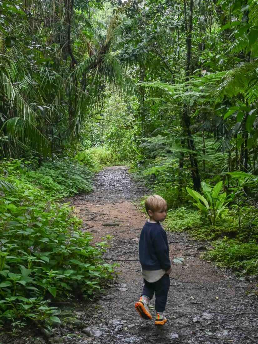 Een van de jongens loopt vooruit over een groen pad, Sri Lanka
