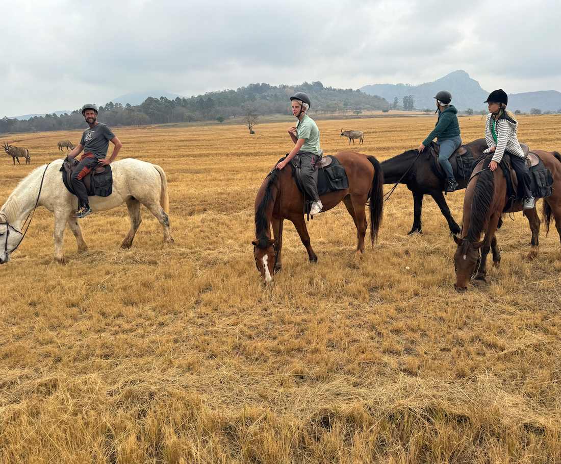 Het hele gezelschap te paard door het gele gras in eSwatini